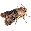 Моль