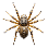 Паук